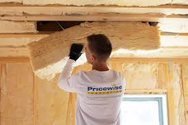 Best Eco-Friendly or Green Insulation Solutions in USA